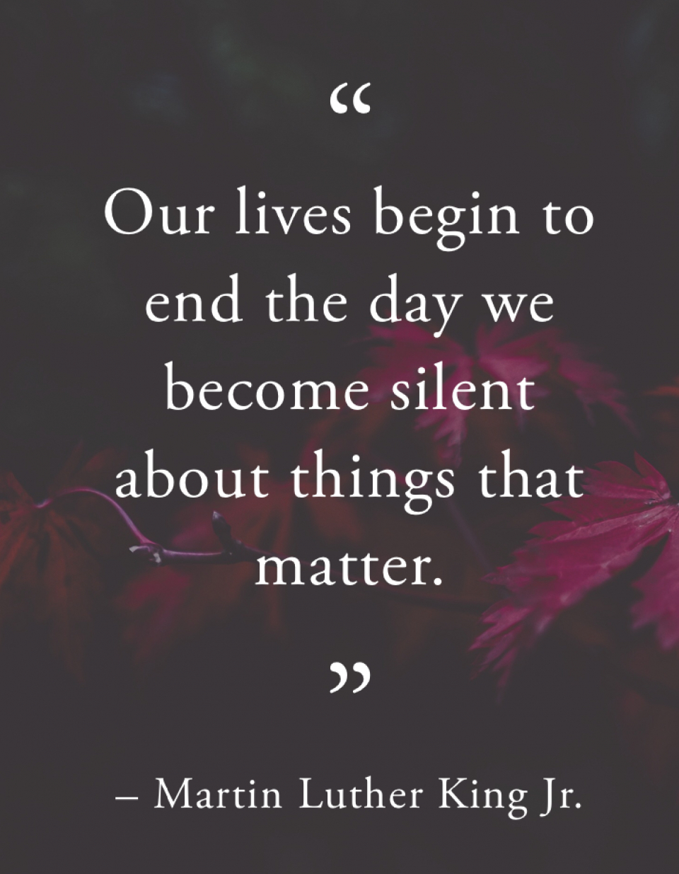 7926cb72-dec2-4629-9a96-b9109532c2ce